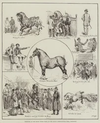 Schizzi alla mostra dei cavalli Shire, nella Royal Agricultural Hall, Islington