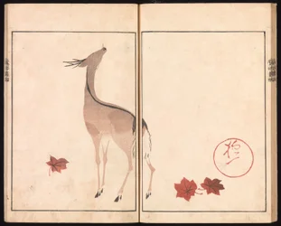 Album di immagini Ōson (Hōitsu) (Ōson gafu)