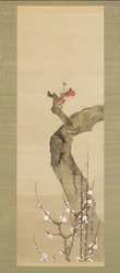 Fiori di prugna rossi e bianchi