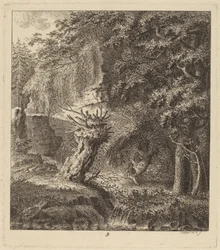 Paesaggio boscoso con un albero capitozzato