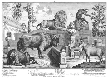 Leone e coppia di bisonti