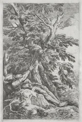San Guglielmo l