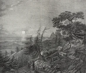 Paesaggio della foresta di Cedri sul Monte Libano, vicino a Beirut, Libano, litografia di Salvatore Puglia da Poliorama Pittoresco, n.11, 22 ottobre