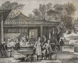 Laboratorio del tè, litografia di Salvatore Puglia da Poliorama Pittoresco, n 23, 13 gennaio