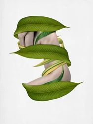 Un corpo avvolto dalla natura