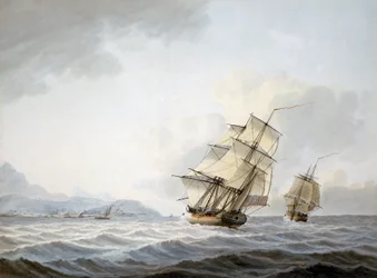 Le navi 