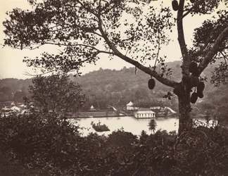 Uno Sguardo dalla Upper Lake Road che Mostra il Tempio e l