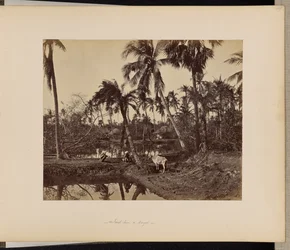 Calcutta; Scene rustiche e vita rurale nel Bengala