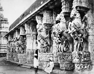 Pilastri di cavallo scolpiti nel Tempio di Ranganatha, Srirangam, 1869