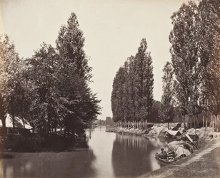 Fiume con alberi (India)
