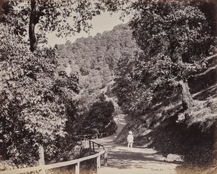 Shimla. Il viale presso Rabq Lodge