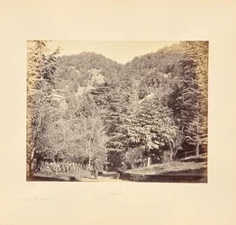 Simla; Jakko, da "Oakover" (vista generale dalla Tonga Road)