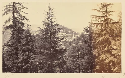 Simla; La chiesa attraverso gli alberi, di Jakko