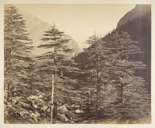 Picchi innevati vicino a Gangootri da Bhairamghati