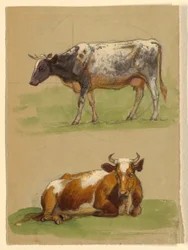 Disegno, Bovini, una mucca che cammina e una mucca accovacciata, 1875-80