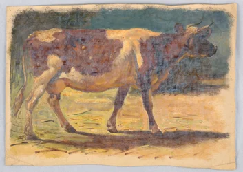 Disegno, Studi. Mucche, agosto 1876