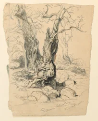 Disegno, Studi. Alberi, 23 dicembre 1885