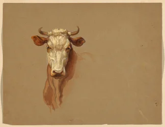 Disegno, Due studi.  Bestiame, 1876