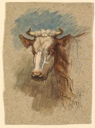 Testa di una mucca, Étretat