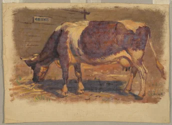 Pittura, Studi. Mucche, agosto 1876