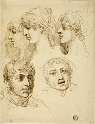 Cinque schizzi di teste