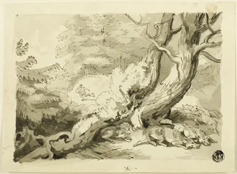 Caccia alla volpe