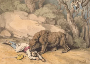 Un orso che attacca un indiano caduto