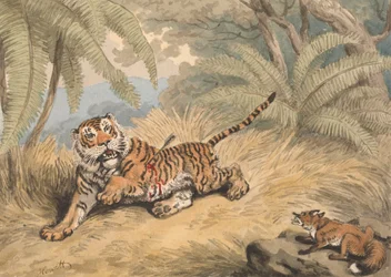 Una tigre trafitta da una freccia