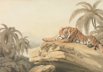 Una tigre a riposo: il frontespizio per "Oriental Field Sports"