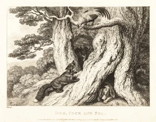 Un gallo su un albero inganna una volpe, mentre un cane dorme. 1811