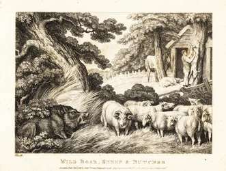 Un gregge di pecore attende di essere macellato da un macellaio. 1811 (acquaforte)