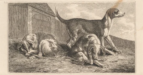 Tre cani