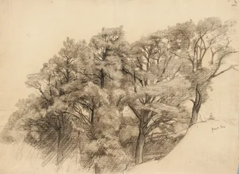 Paesaggio con alberi, 1884