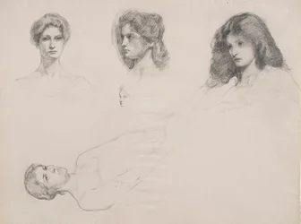 Schizzo di teste femminili