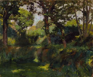 Paesaggio boschivo