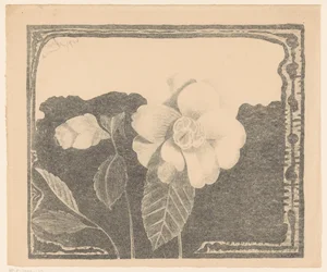 Camelia, a sinistra un fiore in bocciolo