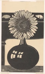 Girasole