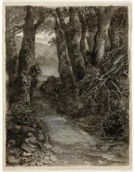 Studio di un Bosco