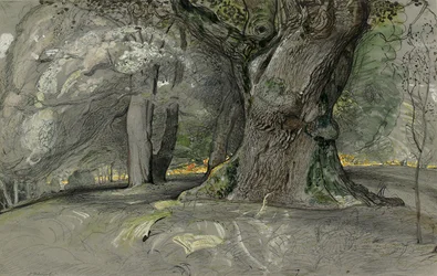 Quercia e faggio, Parco di Lullingstone