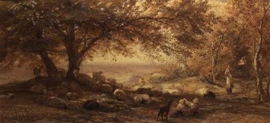 Tranquillità ombrosa