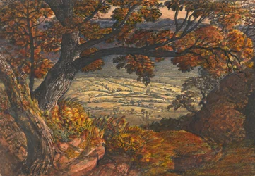 La Weald del Kent