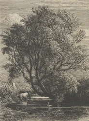 Il salice, 1850