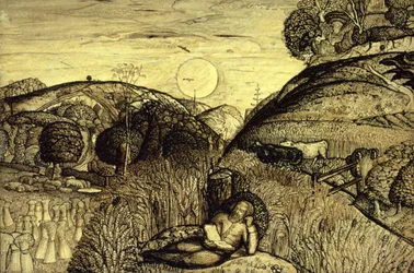 Valle densa di grano