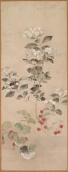 Fiori estivi