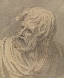 Testa di un uomo con barba che guarda a sinistra