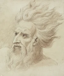 Testa di un Uomo con Barba e Capelli Lunghi al Vento