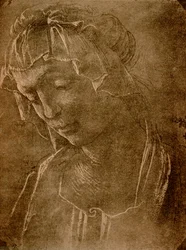Testa femminile