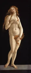Tedesco: Venus Venus