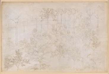 La Divina Commedia, Purgatorio XXXIII. Il Paradiso Terrestre: Beatrice nel cerchio delle Virtù; la partenza; il bagno di Dante nel fiume Eunoe