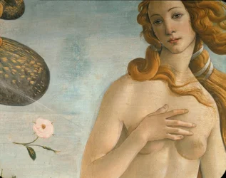 La nascita di Venere (Venere Anadiomene)